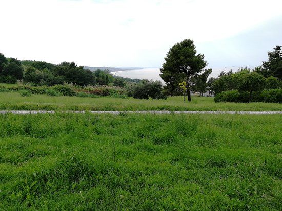 Belvedere Park Posatora